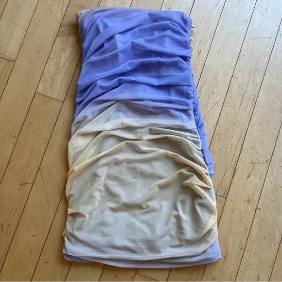 Zara Lilac & Beige Ruched Draped Mesh Mini Dress - Picture 9 of 15